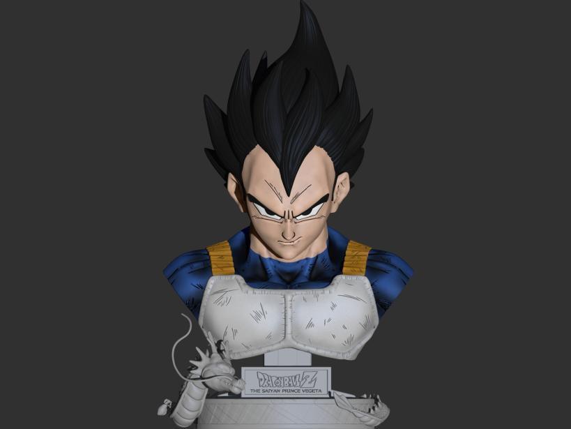 Vegeta Base Busto
