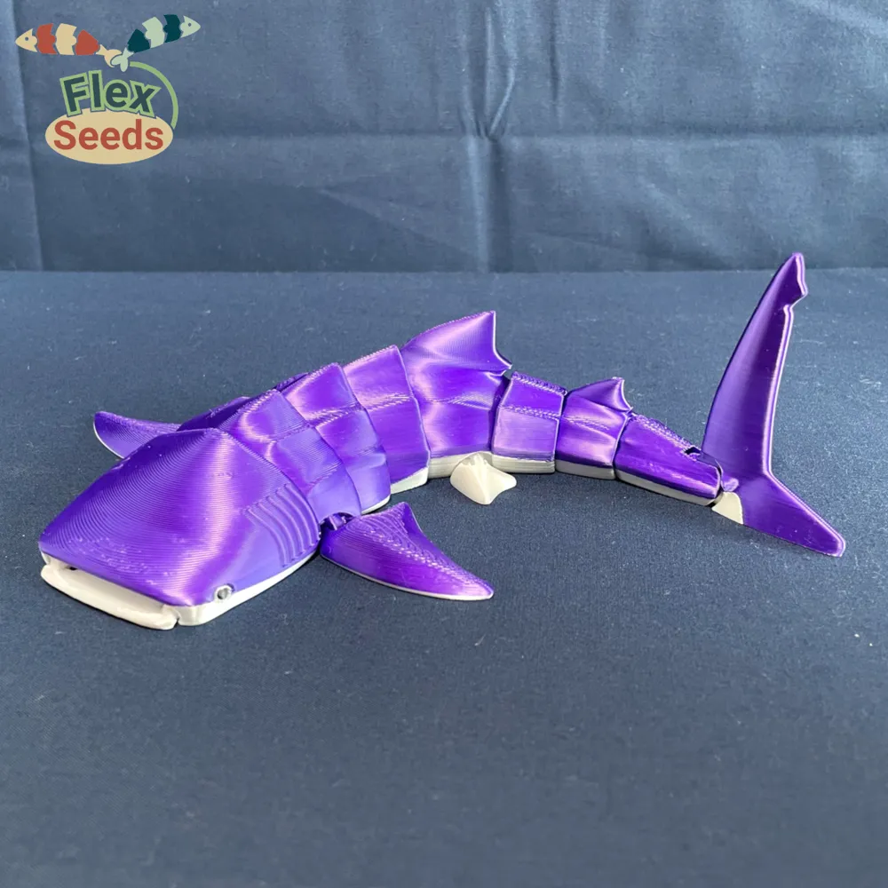 Tiburon Ballena