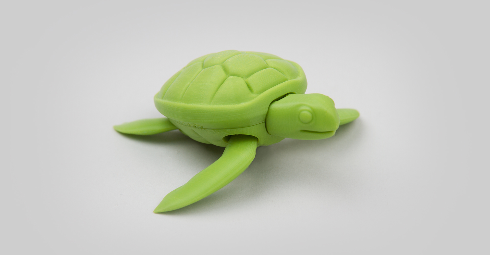 Tortuga
