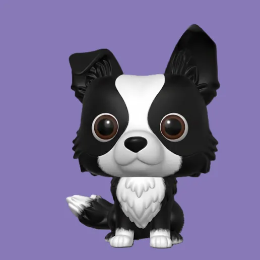 Border collie