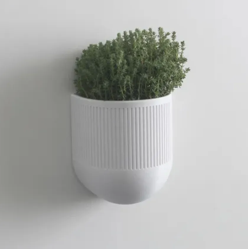 Maceta de Pared