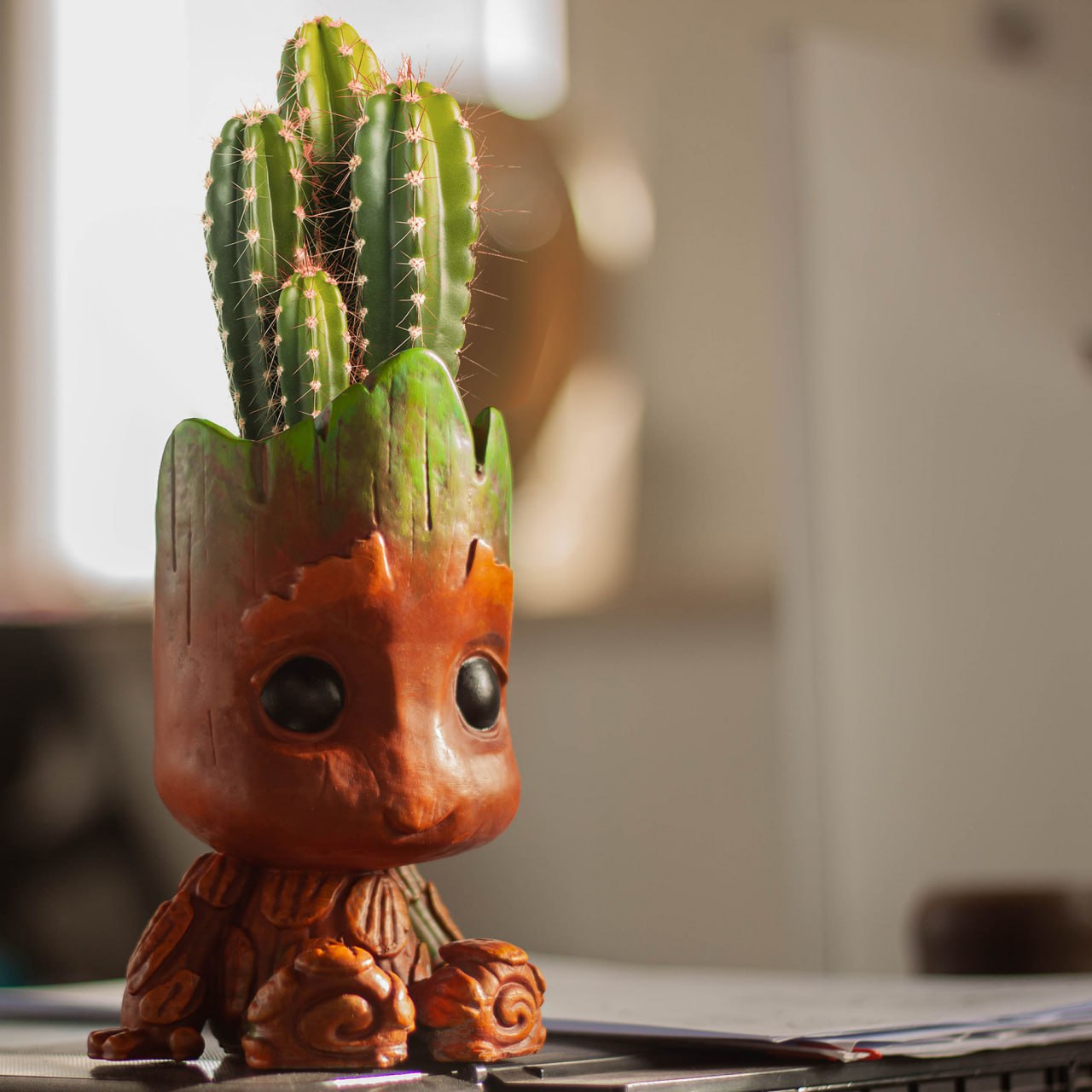Maceta Groot