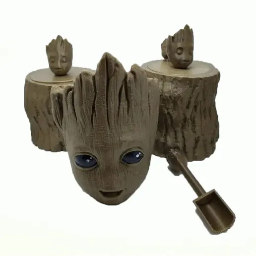 Groot Mate Seti